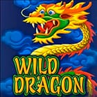 Wild Dragon thumbnail